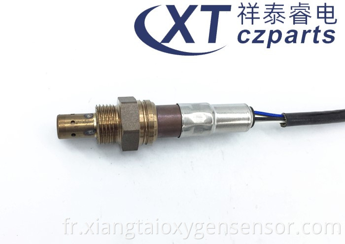 A5 Oxygen Sensor